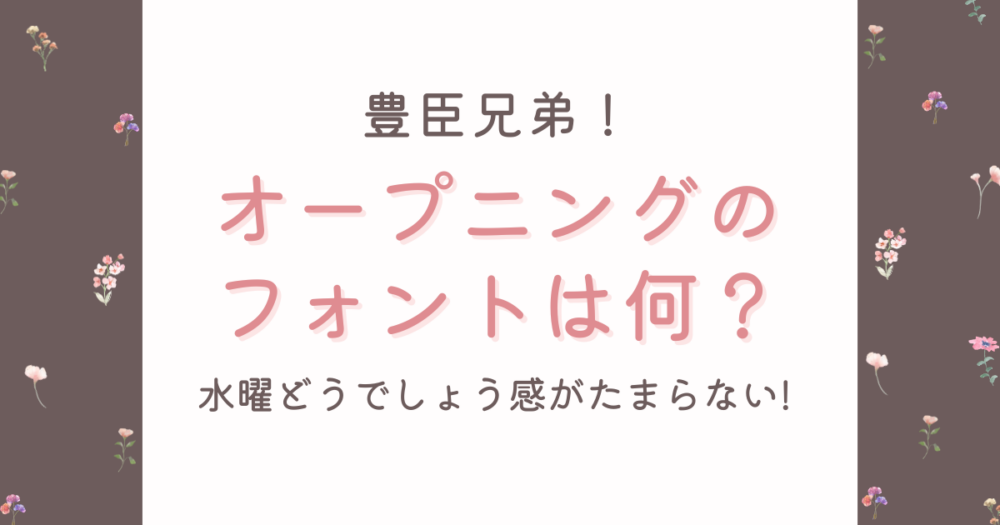 豊臣兄弟のOPのフォントは何?水曜どうでしょう感がたまらない!