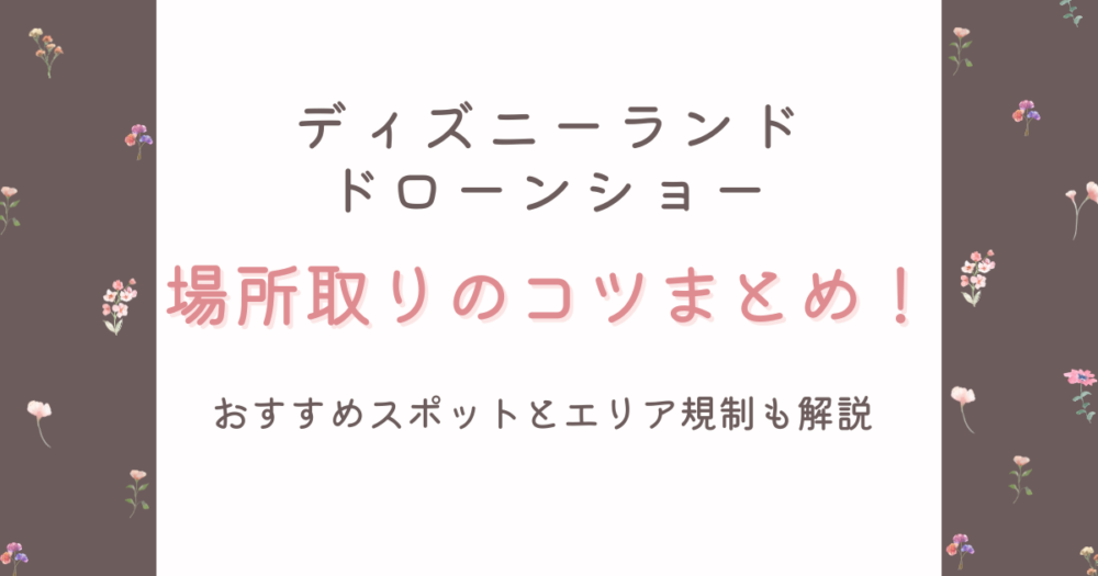 ディズニーランドドローンショーの場所取りコツ!おすすめスポットとエリア規制まとめ